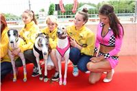 Dostihy_chrtu_GRAND_PRIX_2015_Greyhound_Park_Motol_Prague_IMG_4213.JPG