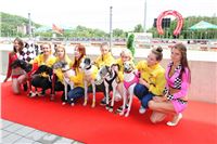 Dostihy_chrtu_GRAND_PRIX_2015_Greyhound_Park_Motol_Prague_IMG_4216.JPG