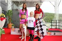 Dostihy_chrtu_GRAND_PRIX_2015_Greyhound_Park_Motol_Prague_IMG_4287.JPG