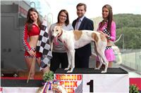 Dostihy_chrtu_GRAND_PRIX_2015_Greyhound_Park_Motol_Prague_IMG_4309.JPG