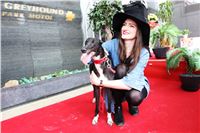 Dostihy_chrtu_GRAND_PRIX_2015_Greyhound_Park_Motol_Prague_IMG_4315.JPG