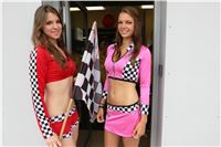 Dostihy_chrtu_GRAND_PRIX_2015_Greyhound_Park_Motol_Prague_IMG_4334.JPG