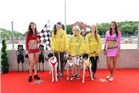 Dostihy_chrtu_GRAND_PRIX_2015_Greyhound_Park_Motol_Prague_IMG_4335.JPG