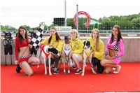 Dostihy_chrtu_GRAND_PRIX_2015_Greyhound_Park_Motol_Prague_IMG_4337.JPG