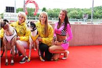 Dostihy_chrtu_GRAND_PRIX_2015_Greyhound_Park_Motol_Prague_IMG_4338.JPG