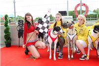 Dostihy_chrtu_GRAND_PRIX_2015_Greyhound_Park_Motol_Prague_IMG_4340.JPG