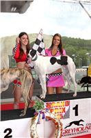 Dostihy_chrtu_GRAND_PRIX_2015_Greyhound_Park_Motol_Prague_IMG_4352.JPG