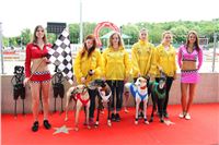 Dostihy_chrtu_GRAND_PRIX_2015_Greyhound_Park_Motol_Prague_IMG_4398.JPG