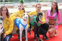 Dostihy_chrtu_GRAND_PRIX_2015_Greyhound_Park_Motol_Prague_IMG_4405.JPG