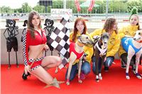 Dostihy_chrtu_GRAND_PRIX_2015_Greyhound_Park_Motol_Prague_IMG_4407.JPG