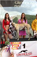 Dostihy_chrtu_GRAND_PRIX_2015_Greyhound_Park_Motol_Prague_IMG_4416.JPG