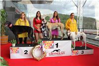 Dostihy_chrtu_GRAND_PRIX_2015_Greyhound_Park_Motol_Prague_IMG_4420.JPG