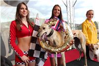 Dostihy_chrtu_GRAND_PRIX_2015_Greyhound_Park_Motol_Prague_IMG_4434.JPG