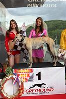 Dostihy_chrtu_GRAND_PRIX_2015_Greyhound_Park_Motol_Prague_IMG_4439.JPG