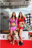 Dostihy_chrtu_GRAND_PRIX_2015_Greyhound_Park_Motol_Prague_IMG_4448.JPG