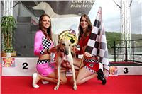 Dostihy_chrtu_GRAND_PRIX_2015_Greyhound_Park_Motol_Prague_IMG_4455.JPG