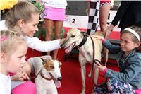 Dostihy_chrtu_GRAND_PRIX_2015_Greyhound_Park_Motol_Prague_IMG_4474.JPG