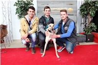 Dostihy_chrtu_GRAND_PRIX_2015_Greyhound_Park_Motol_Prague_IMG_4484.JPG