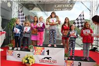 Dostihy_chrtu_GRAND_PRIX_2015_Greyhound_Park_Motol_Prague_IMG_4560.JPG