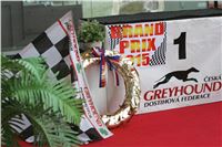 Dostihy_chrtu_GRAND_PRIX_2015_Greyhound_Park_Motol_Prague_NQ1M0187.JPG