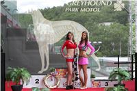 Dostihy_chrtu_GRAND_PRIX_2015_Greyhound_Park_Motol_Prague_NQ1M0191.JPG