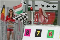 Dostihy_chrtu_GRAND_PRIX_2015_Greyhound_Park_Motol_Prague_NQ1M0205.JPG