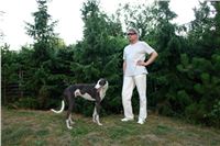 Chrt_Cayenn_Czech_Greyhound_Racing_Federation_DSC07306.JPG