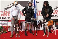 Chrti_Viola_Cato_Cayenn_Elbony_Halloween_Punk_Rock_Greyhound_Race_Czech_Greyhound_Racing_Federation_