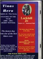 Larkhill_Jo_Czech_Greyhound_Racing_Federation_Cayenn_Elbony.jpg