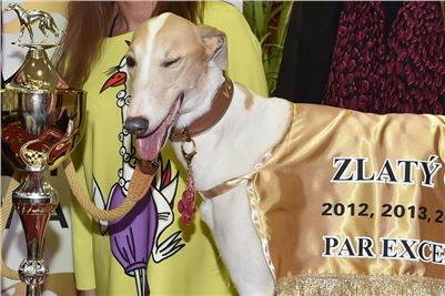 Zlaty_chrt_VUITTON_dostihy_Greyhound_Park_Motol_Praha_2160321_316_v.jpg
