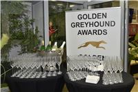 017_Zlaty_Chrt_Golden_Greyhound_Awards_sampioni_dostihy_CGDF_Praha_2160321_008.jpg