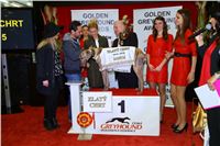 048_Zlaty_Chrt_Golden_Greyhound_Awards_šampióni_dostihy_CGDF_Praha_IMG_5055.jpg