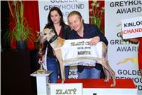 056_Zlaty_Chrt_Golden_Greyhound_Awards_sampioni_dostihy_CGDF_Praha_IMG_5193.jpg