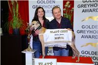 057_Zlaty_Chrt_Golden_Greyhound_Awards_šampióni_dostihy_CGDF_Praha_IMG_5198.jpg