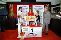 066_Zlaty_Chrt_Golden_Greyhound_Awards_šampióni_dostihy_CGDF_Praha_IMG_5377.jpg