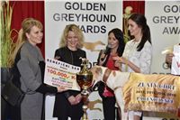 069_Zlaty_Chrt_Golden_Greyhound_Awards_sampioni_dostihy_CGDF_Praha_2160321_293.jpg