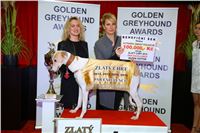 072_Zlaty_Chrt_Golden_Greyhound_Awards_šampióni_dostihy_CGDF_Praha_IMG_5447.jpg