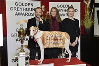 076_Zlaty_Chrt_Golden_Greyhound_Awards_šampióni_dostihy_CGDF_Praha_2160321_307.jpg