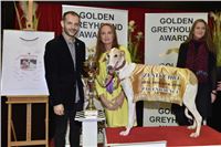 078_Zlaty_Chrt_Golden_Greyhound_Awards_šampióni_dostihy_CGDF_Praha_2160321_315_u.jpg