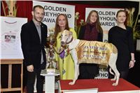 079_Zlaty_Chrt_Golden_Greyhound_Awards_šampióni_dostihy_CGDF_Praha_2160321_316_u.jpg