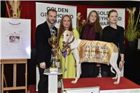 080_Zlaty_Chrt_Golden_Greyhound_Awards_šampióni_dostihy_CGDF_Praha_2160321_317.jpg