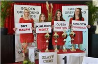Zlaty_Chrt_Golden_Greyhound_Awards.jpg