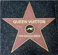 Zlaty_Chrt_Par_Excellence_Queen_Vuitton_Greyhound_Park_Motol_Praha_dostihy_chrtu.jpg Zlaty_Chrt_Par_Excellence_Queen_Vuitton_Greyhound_Park_Motol_Praha_dostihy_chrtu.jpg