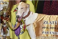 Zlaty_chrt_VUITTON_dostihy_Greyhound_Park_Motol_Praha_2160321_316_v.jpg Zlaty_chrt_VUITTON_dostihy_Greyhound_Park_Motol_Praha_2160321_316_v.jpg