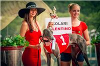 01_Chrti_dostihy_Greyhound_Racing_Park_Praha_Czech_International_Derby_2551.jpg