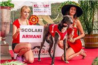 02_Chrti_dostihy_Greyhound_Racing_Park_Praha_Czech_International_Derby_2359.jpg