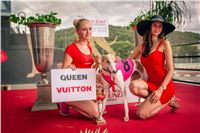 03_Chrti_dostihy_Greyhound_Racing_Park_Praha_Czech_International_Derby_2282.jpg