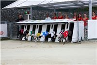 04_Chrti_dostihy_Greyhound_Racing_Park_Praha_Czech_International_Derby_8116.jpg