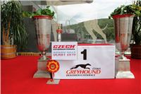 19_Chrti_dostihy_Greyhound_Racing_Park_Praha_Czech_International_Derby_7919.JPG