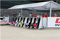 27_Chrti_dostihy_Greyhound_Racing_Park_Motol_Praha_Ceske_Derby_7953.JPG